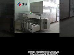 Ampullerfüll- und Versiegelungsmaschine, Ampullerfüll- und Versiegelungslinie cGMP, CE-Qualifikation