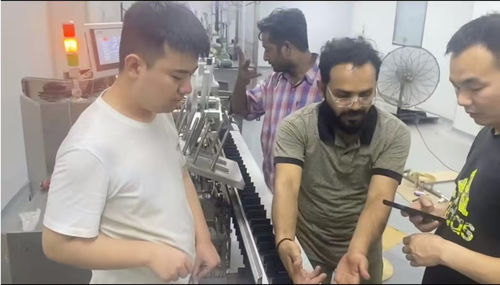 Neueste Unternehmensnachrichten über Suzhou Lingyao Pharmazeutische Ausrüstung Team erfolgreich abgeschlossen vor Ort SAT & Training für Kartonmaschine
