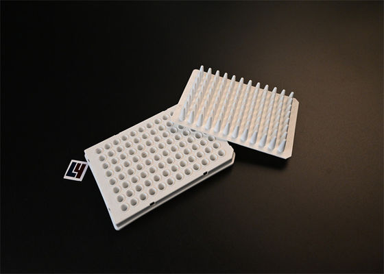 Ein guter Preis. Hersteller von PCR-Platten, Medizinprodukte für die Injektion, OEM-Anbieter von PCR-Platten, Werkspreis Online